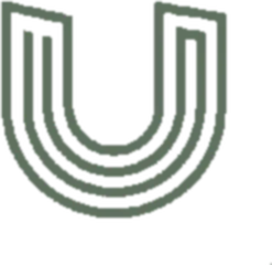 Upsurge Labs