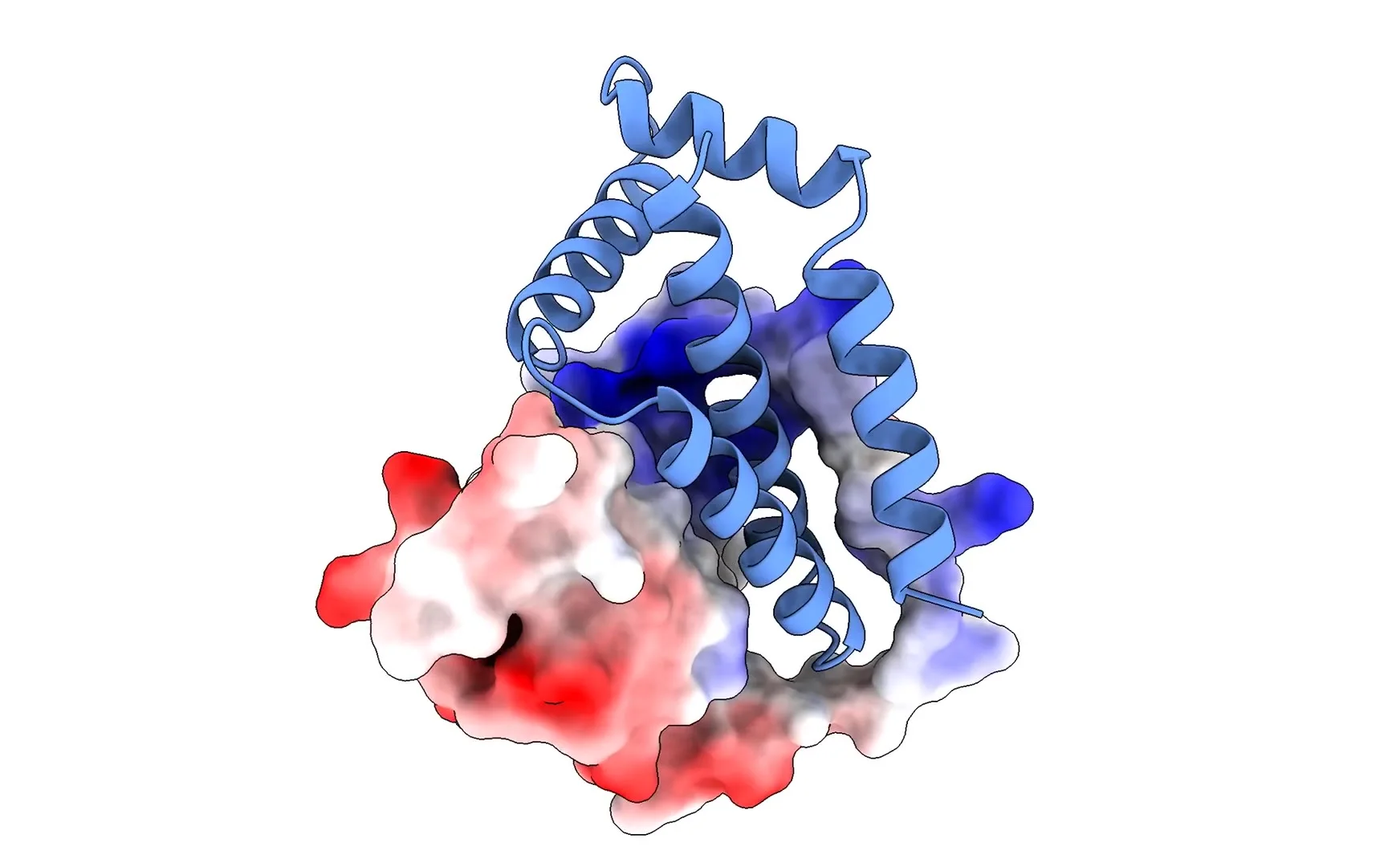 Computational protein structure designed by Mandrake Bio